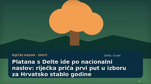 Ilustracija velike platane na riječkoj Delti uz gradski park
